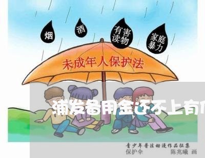 浦发备用金还不上有什么后果/2023100990725