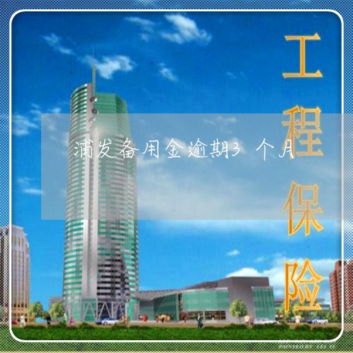 浦发备用金逾期3个月/2023032172617