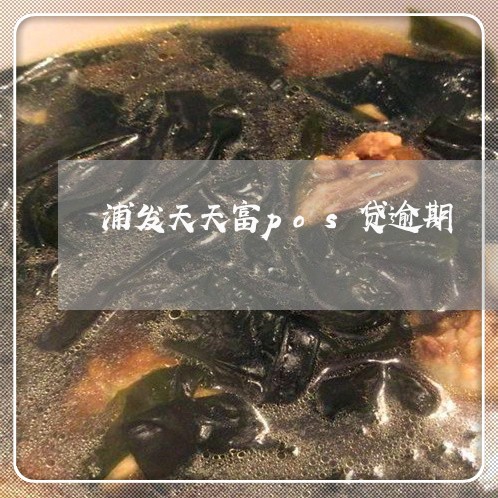 浦发天天富pos贷逾期/2023033159593