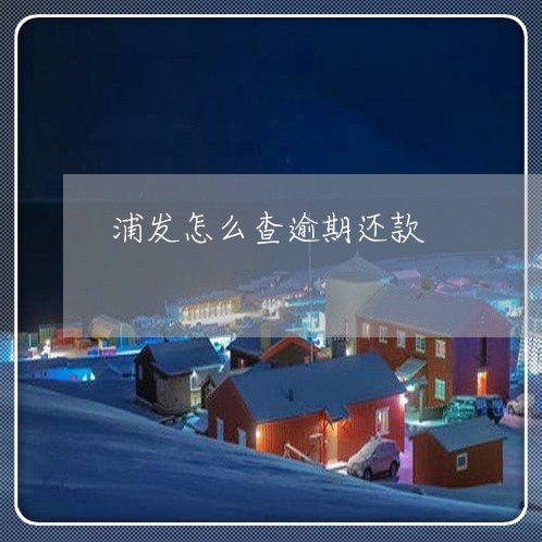 浦发怎么查逾期还款/2023020708163