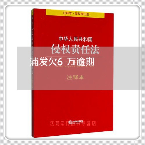 浦发欠6万逾期/2023101639582