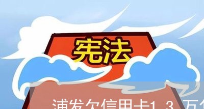 浦发欠信用卡13万怎么办 浦发欠信用卡13万怎么办