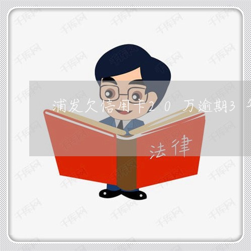 浦发欠信用卡20万逾期3年