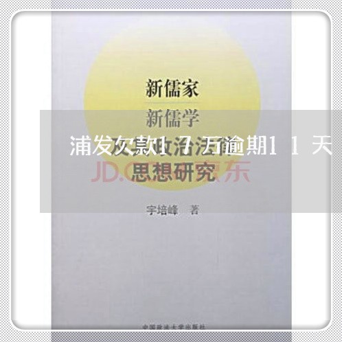 浦发欠款17万逾期11天 浦发欠款17万逾期11天
