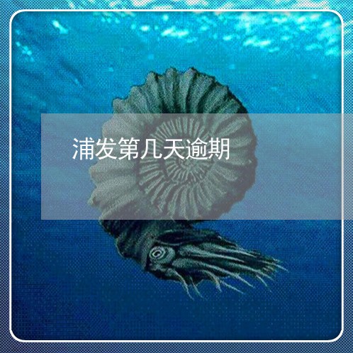 浦发第几天逾期/2023071451626