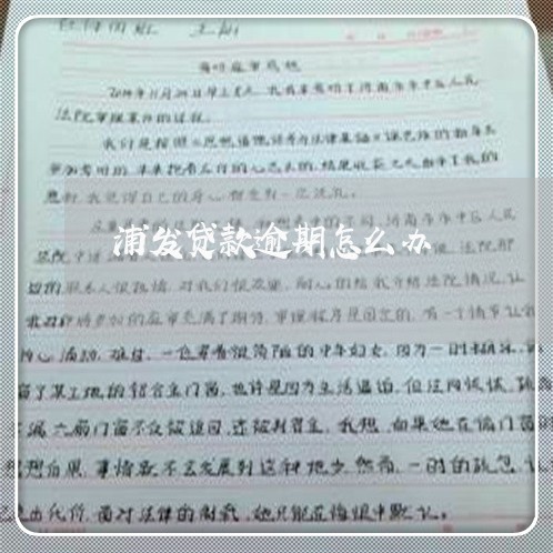 浦发贷款逾期怎么办/2023102558249