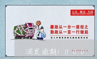 浦发逾期1000/2023020328591