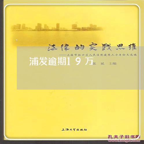 浦发逾期19万/2023071426259