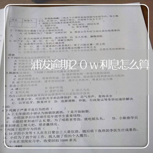 浦发逾期20w利息怎么算/2023032493735