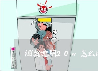 浦发逾期20w怎么协商 浦发逾期20w怎么协商