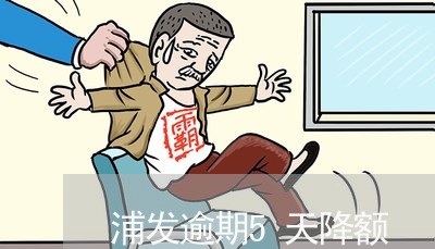 浦发逾期5天降额