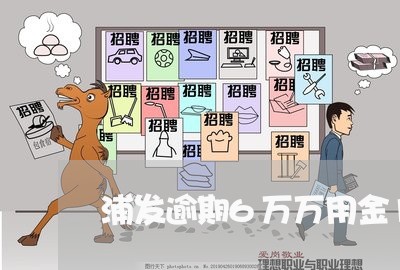 浦发逾期6万万用金14万