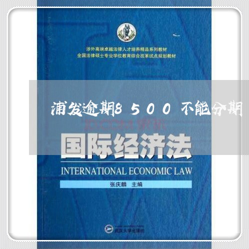 浦发逾期8500不能分期/2023062872704