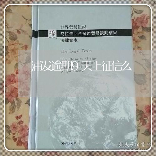 浦发逾期9天上征信么/2023032167250