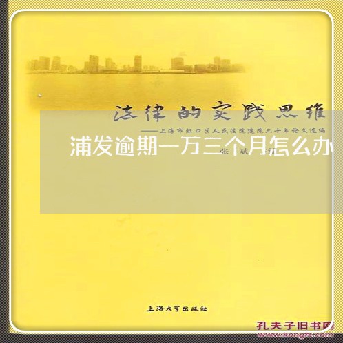 浦发逾期一万三个月怎么办