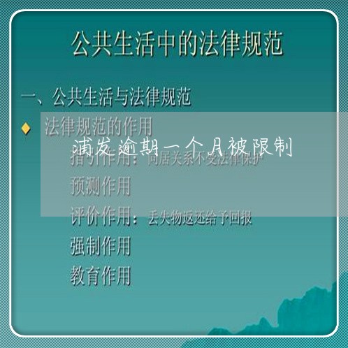 浦发逾期一个月被限制/2023102605826