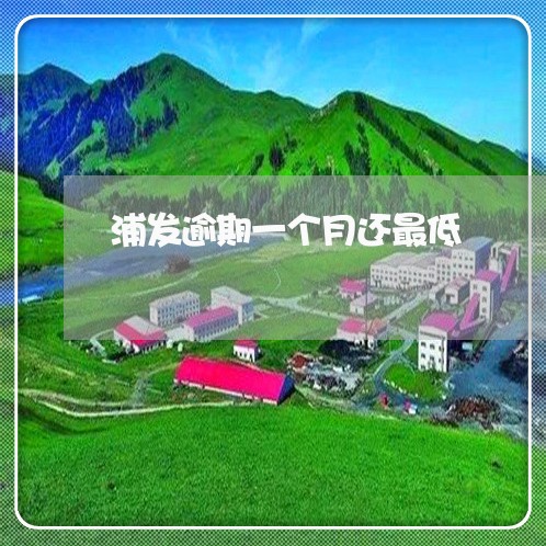 浦发逾期一个月还最低