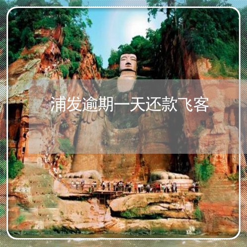 浦发逾期一天还款飞客