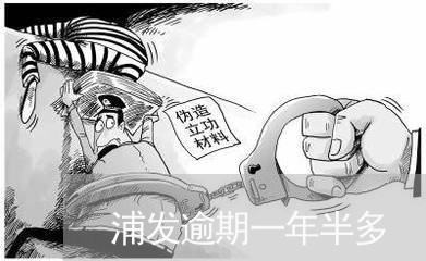浦发逾期一年半多