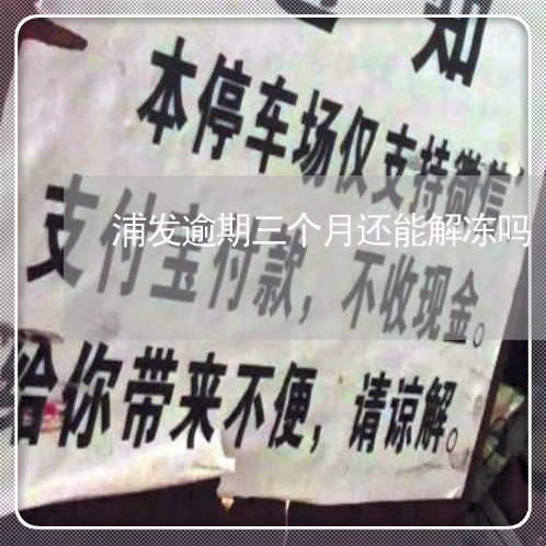 浦发逾期三个月还能解冻吗/2023062728260