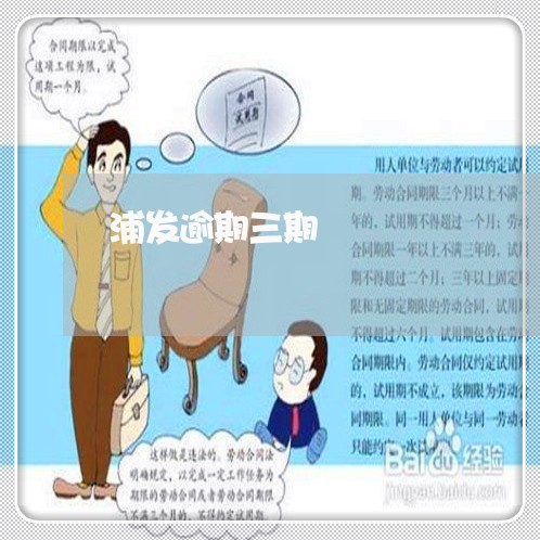 浦发逾期三期/2023030438280