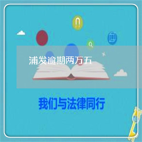 浦发逾期两万五/2023071405058