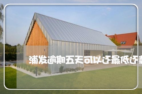 浦发逾期五天可以还最低还款吗