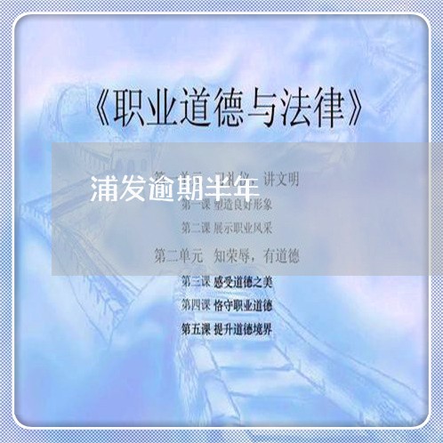 浦发逾期半年/2023021138739