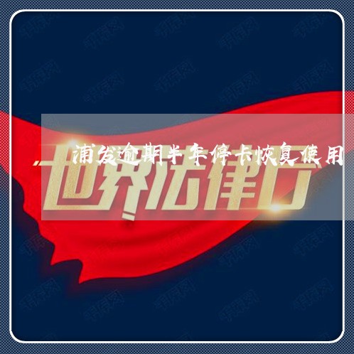 浦发逾期半年停卡恢复使用/2023062807149