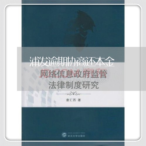 浦发逾期协商还本金/2023102572926