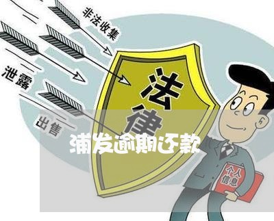 浦发逾期还款