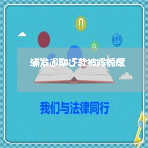 浦发逾期还款被降额度/2023032130715