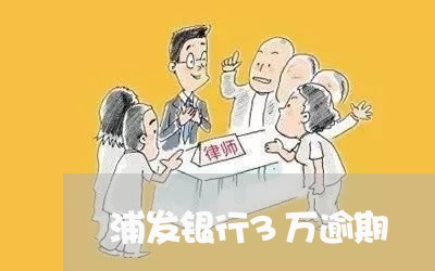 浦发银行3万逾期/2023020379593