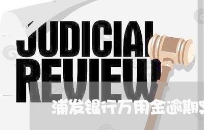 浦发银行万用金逾期案件侦查