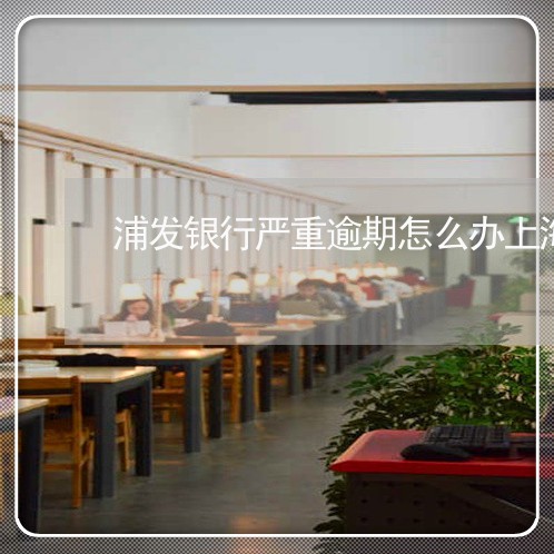 浦发银行严重逾期怎么办上海