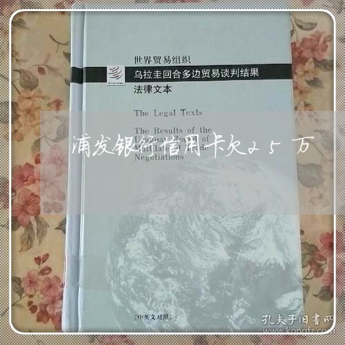 浦发银行信用卡欠25万