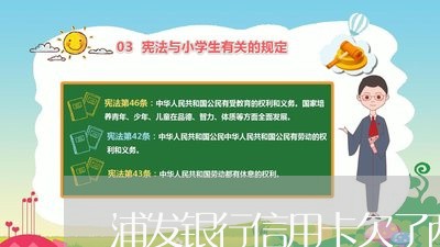 浦发银行信用卡欠了两万