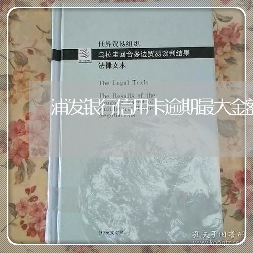 浦发银行信用卡逾期最大金额