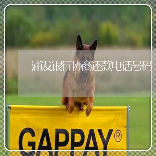 浦发银行协商还款电话号码/2023022771593