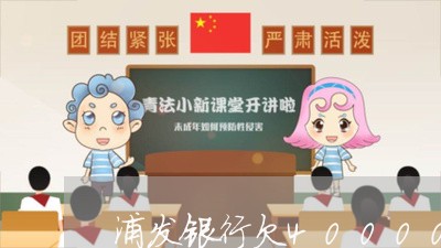 浦发银行欠40000逾期/2023062851806