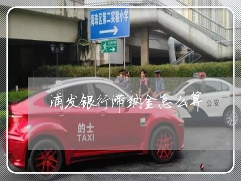 浦发银行滞纳金怎么算/2023020923274