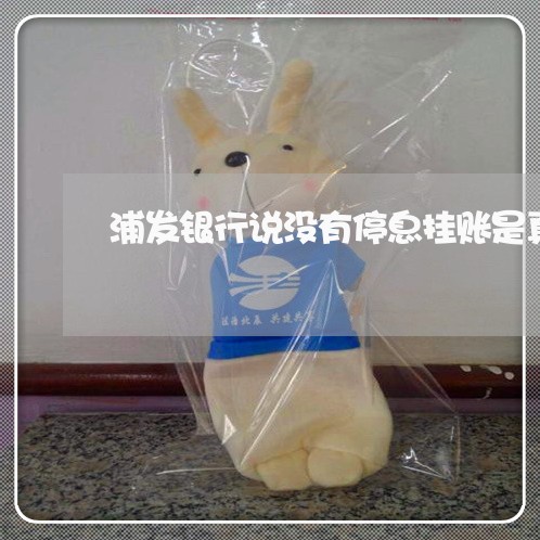 浦发银行说没有停息挂账是真的吗/2023022701948 浦发银行说没有停息挂账是真的吗/2023022701948