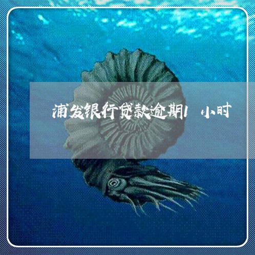 浦发银行贷款逾期1小时/2023062249372