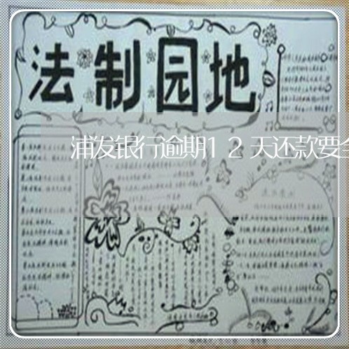 浦发银行逾期12天还款要全款