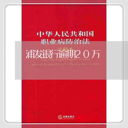 浦发银行逾期20万/2023102538379