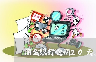 浦发银行逾期20天怎么办/2023032449594