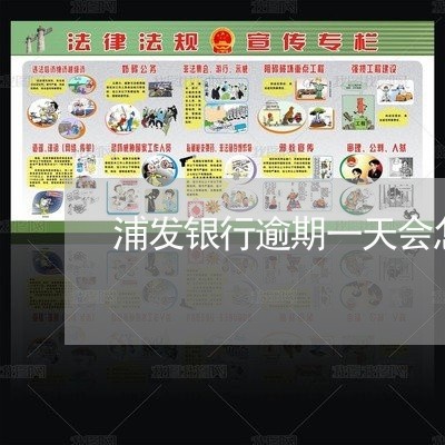 浦发银行逾期一天会怎么样/2023032664927