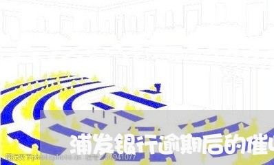 浦发银行逾期后的催收/2023102742692