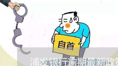 浦发银行逾期最新政策/2023102792616