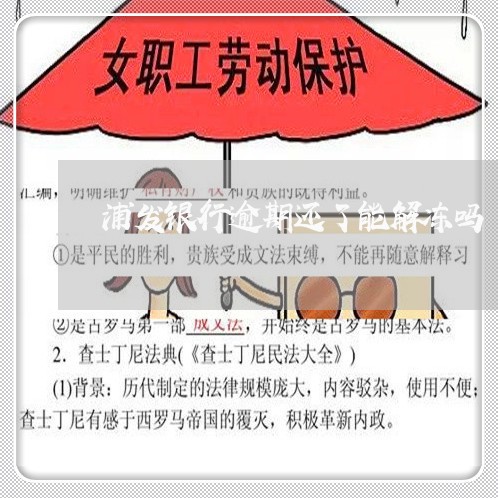 浦发银行逾期还了能解冻吗/2023062883026